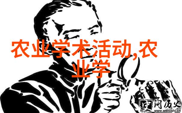 皮带机 - 链条中的精密探索皮带机的工程奇迹