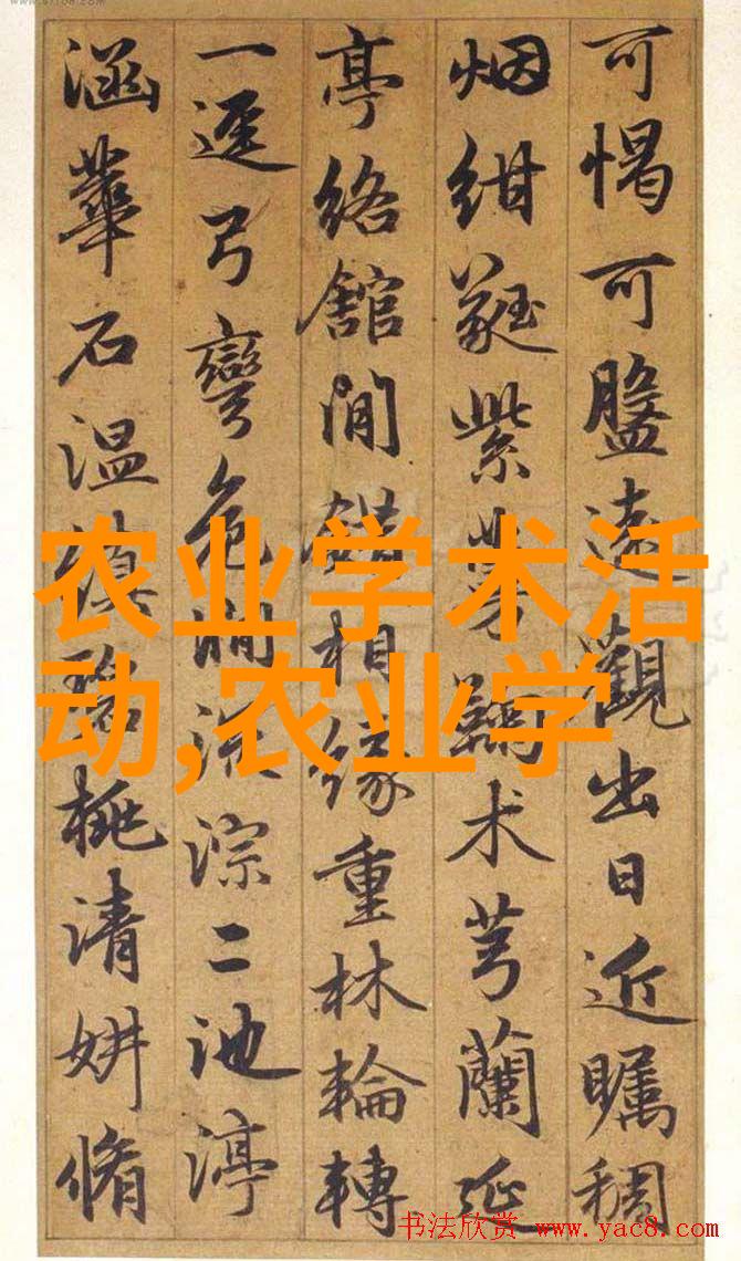 美丽姑娘的故事完整版视频总结