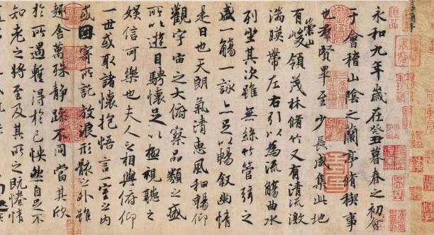 农村常见60种野生中草药探索乡间药材宝库