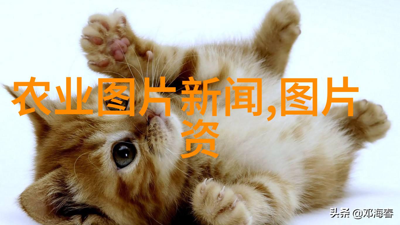 探秘花木场种植基地背后的故事有哪些