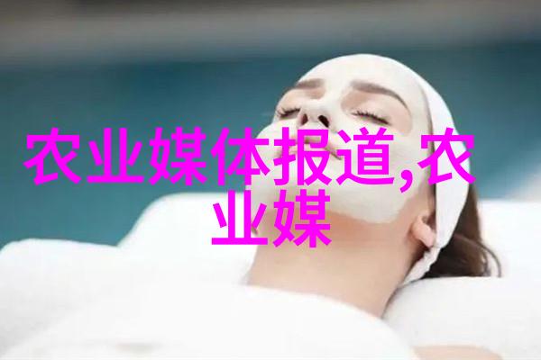 自然风光-枣树下的宁静秋日采摘的诗篇