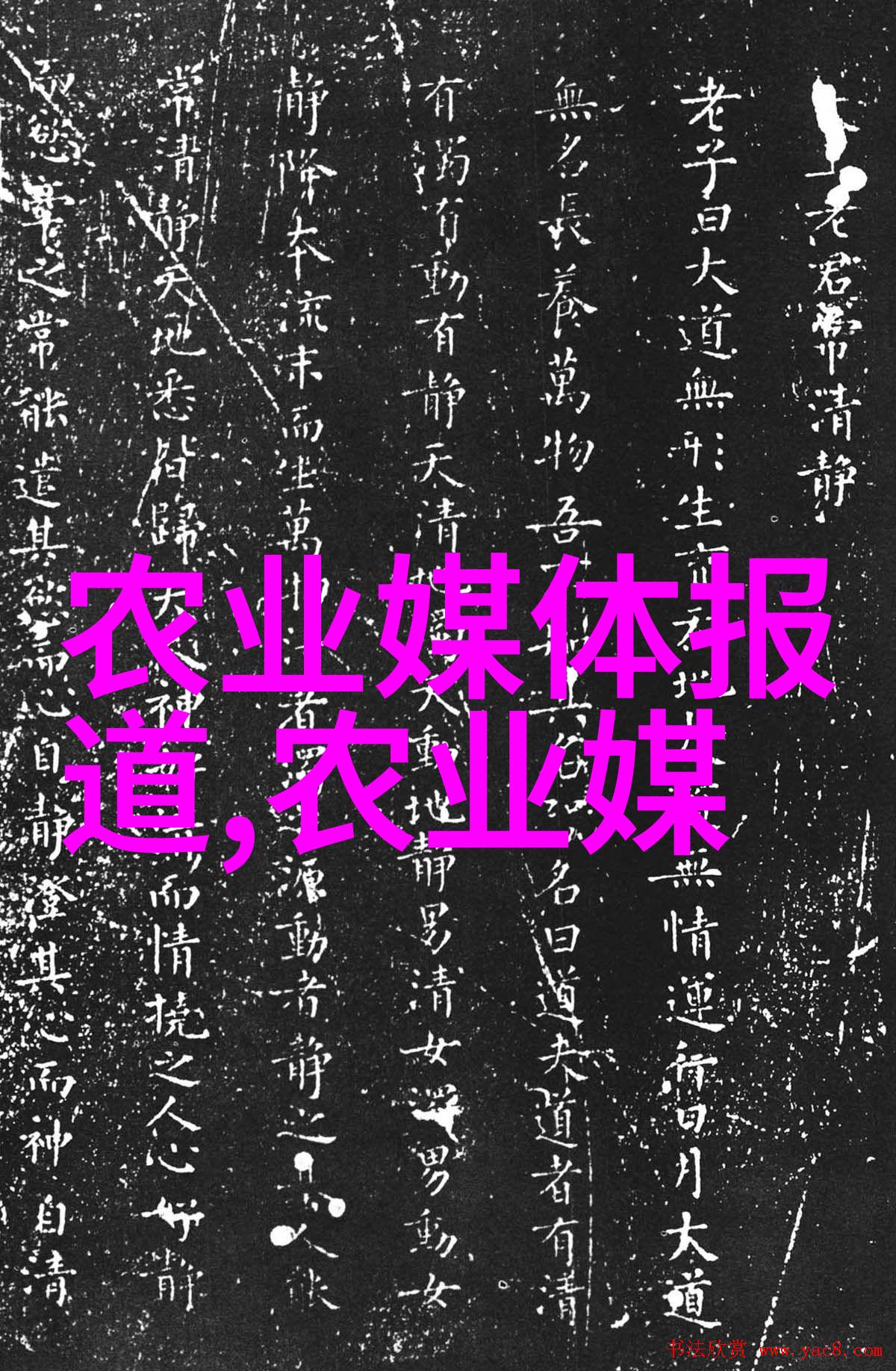 果实之韵轻抚春泥的诗篇