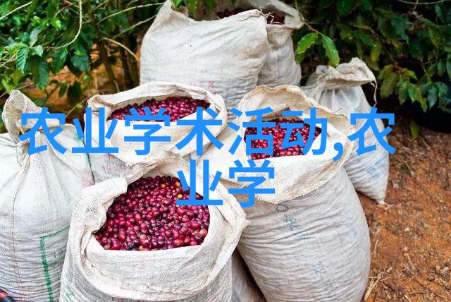 广东适合种植什么药材我来告诉你这儿最适合种的药材