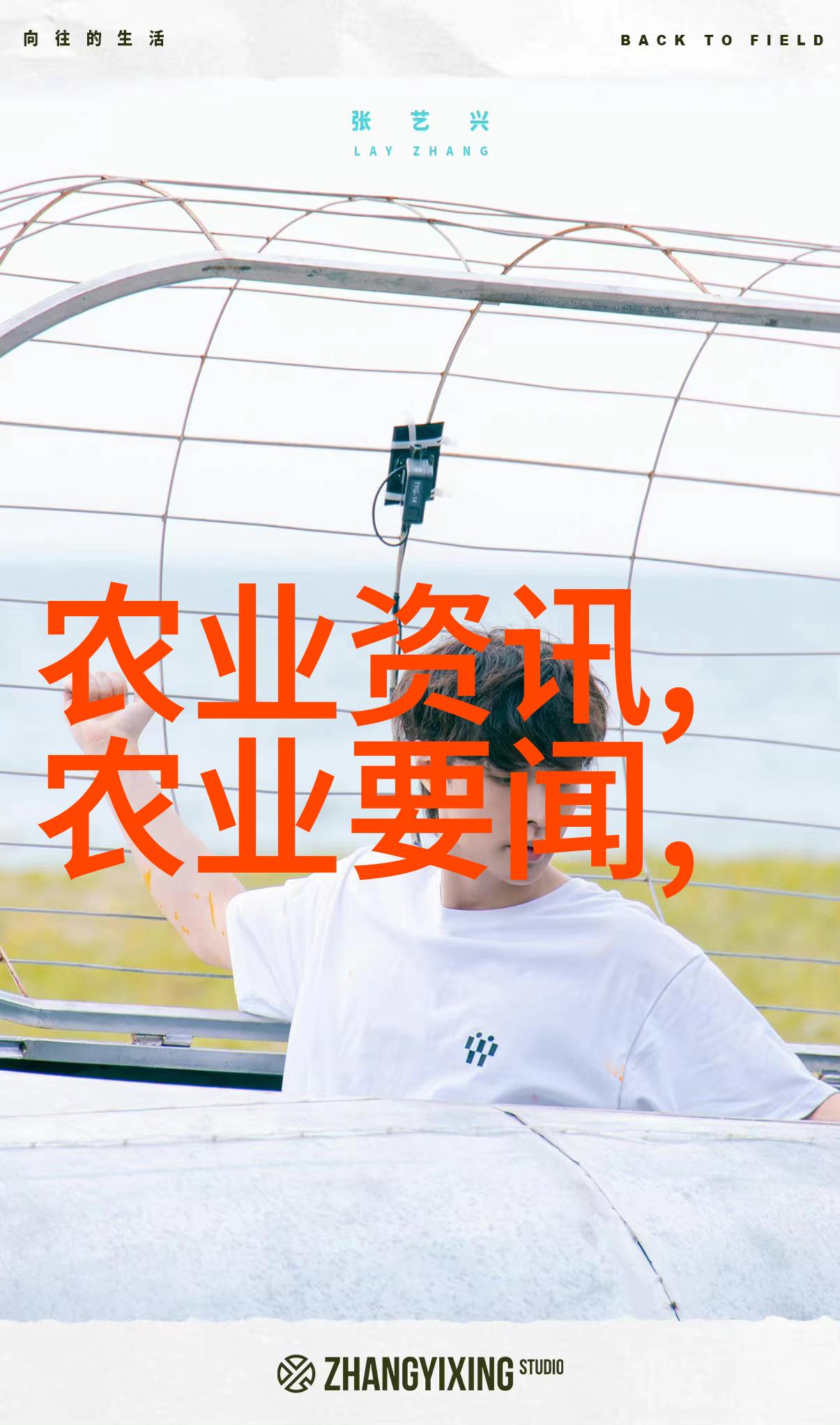绿茵交流探索蔬菜种植的智慧与乐趣