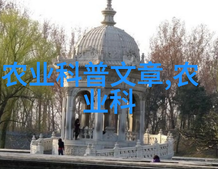 饲料成本是如何影响养羊20只一年利润的