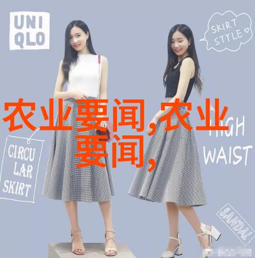 2021年至2023年养牛经验分享现代养牛技术与管理实践