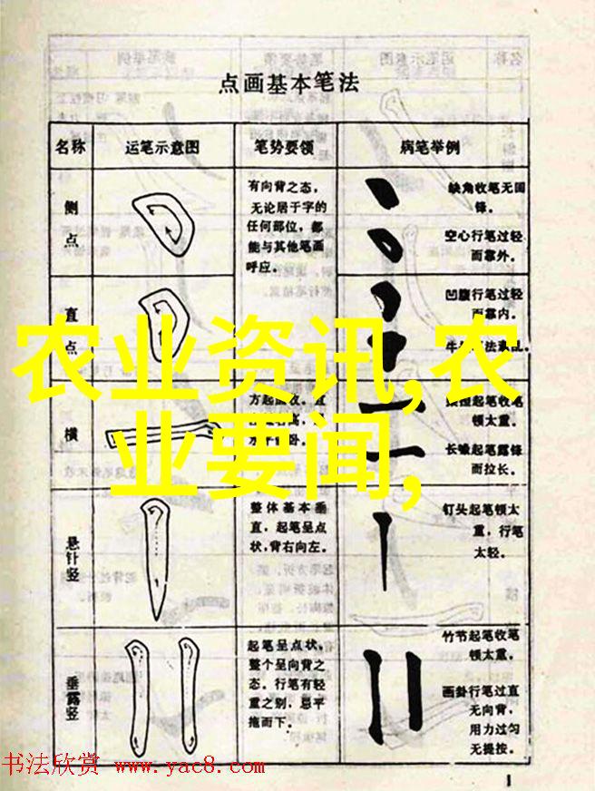 家庭种菜-绿手指的春天从零到英雄的家园自给之旅