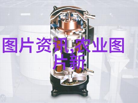 金线莲种植加盟-金线莲花香成功的种植加盟秘诀