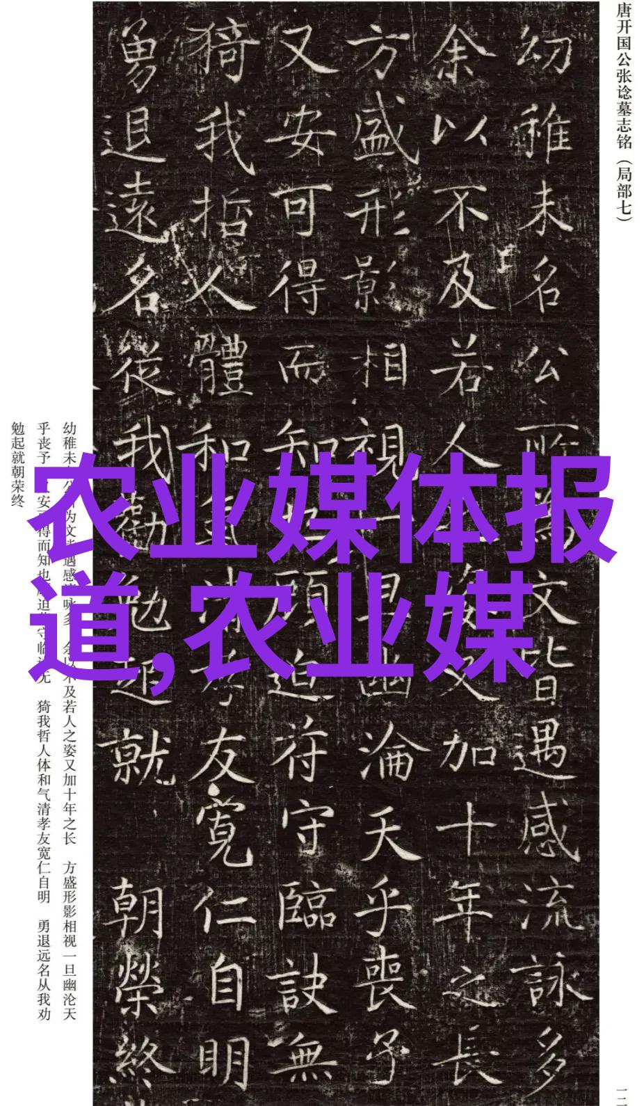 环保农业实践中的创新工具介绍一下新式大棚吧