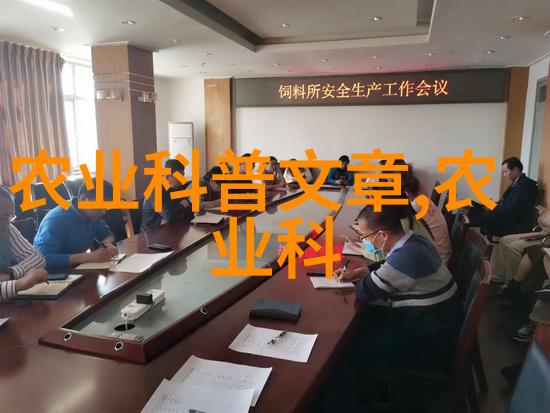 黄姜种植技艺探究精准引导中药材丰收