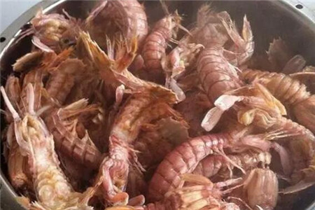 中草药6000种图解我和中草药6000种的故事一本画册带我走近自然