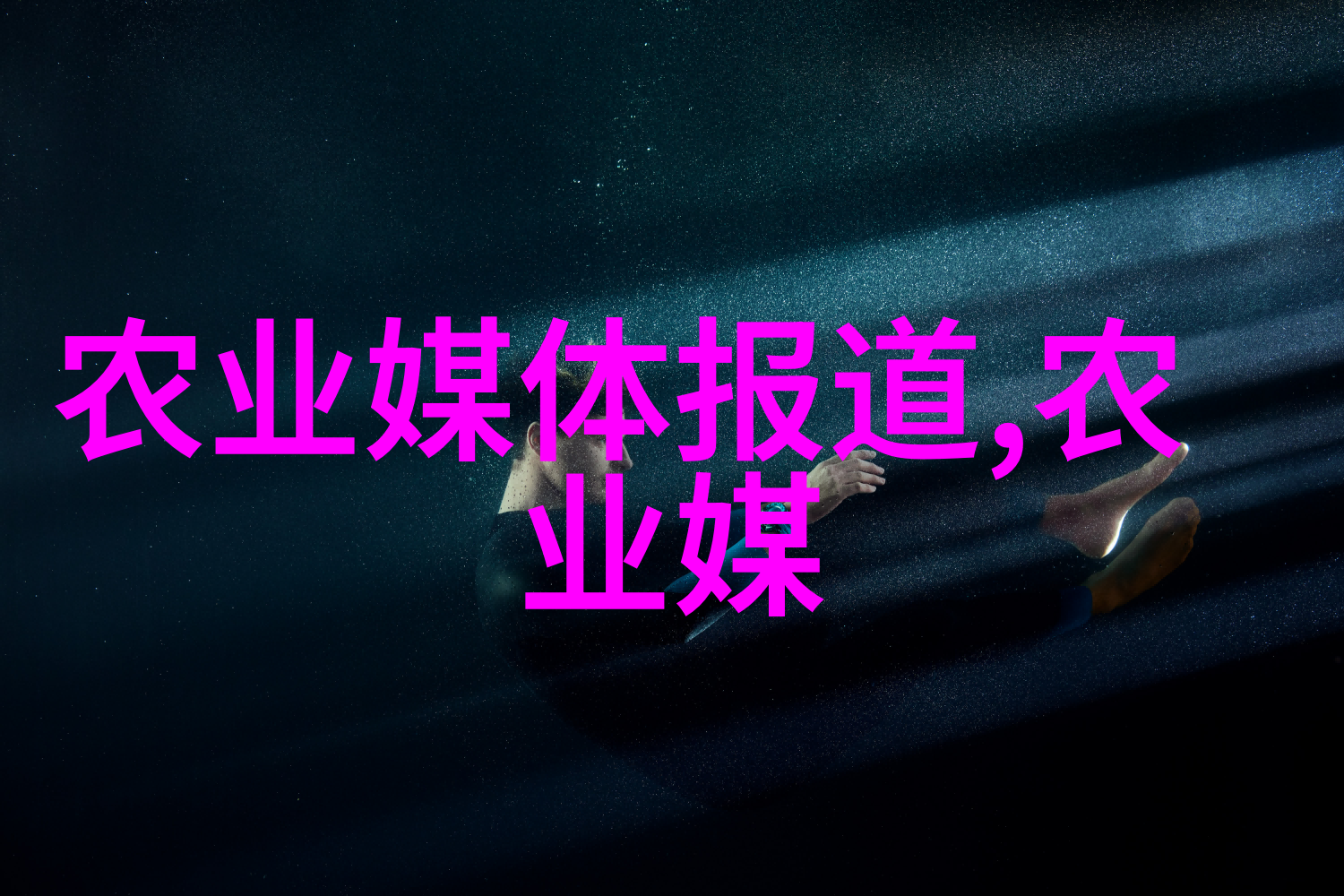 茶树叶片的形态特征及其在品种鉴定的重要性