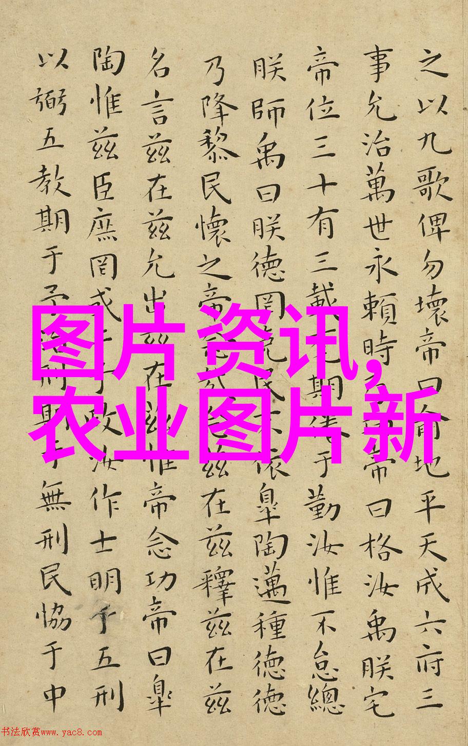 梨子种籽梨的内在美与种子的秘密