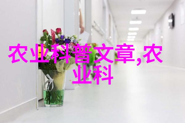 冬日蔬菜园种植技巧与暖阳下的绿意盎然
