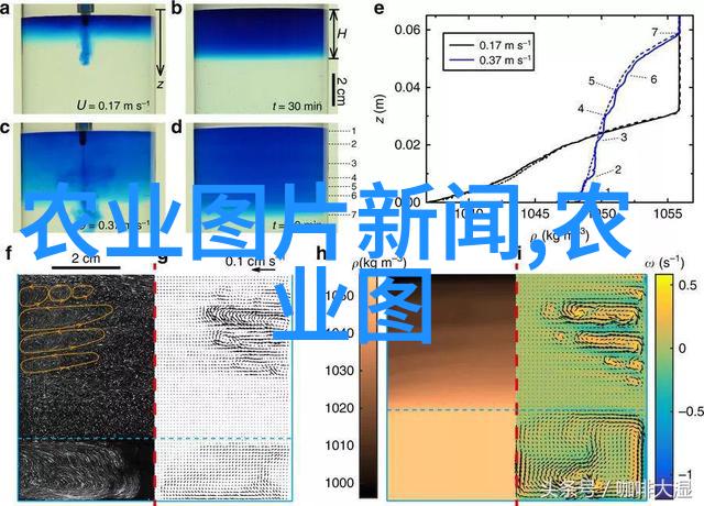 斗鸡养殖技术提高斗鸡抗病能力的方法和技巧