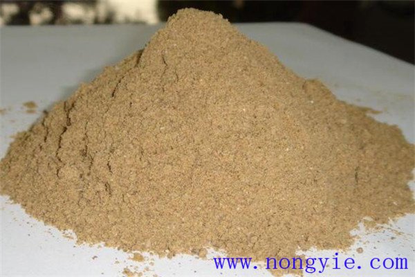 蔬菜种植技术网我是怎么在家就能搞出美味蔬菜的