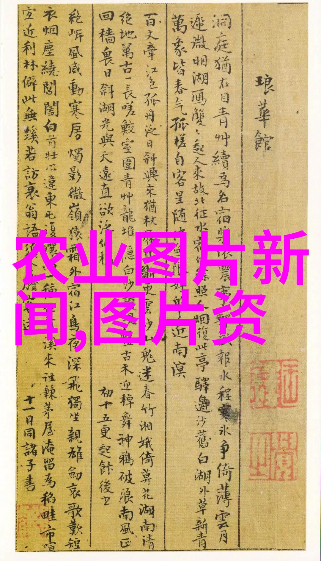 金丝楠苗木价格大揭秘你知道这10公分小宝贝的价值吗