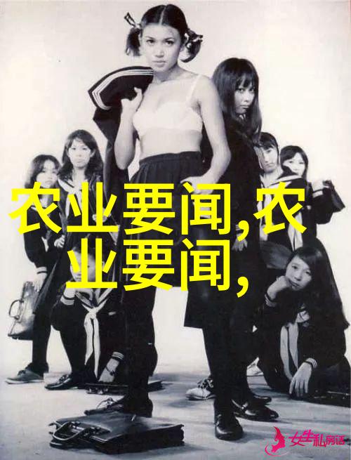 中年求职重新启航的职业生涯