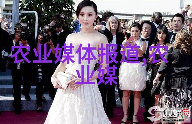 蜜蜂养成指南精湛技艺与谨慎管理