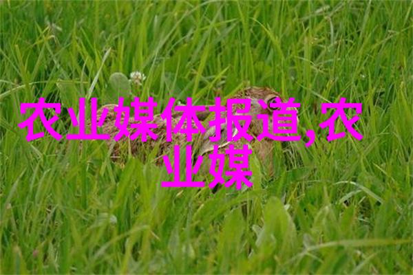 塑料大棚投资探究一亩的成本有多高