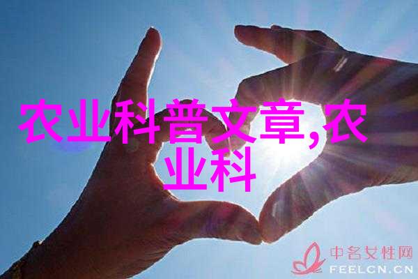 蜂蜜之谜解锁养蜂高效的秘诀