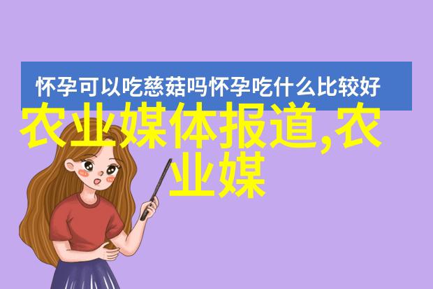 大型旋耕起垄施肥一体机我是如何用这台神器一天种满整个田地的