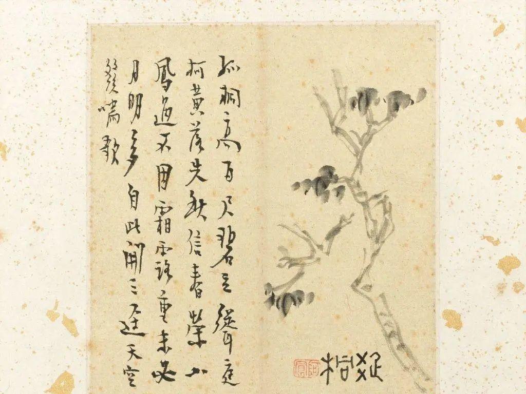 探秘全球奇珍异果100种未知的水果之旅