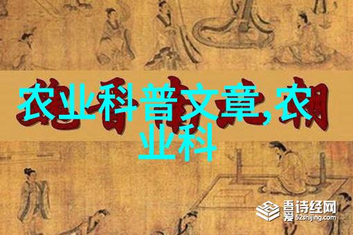 星辰变2小说宇宙间的奇幻冒险