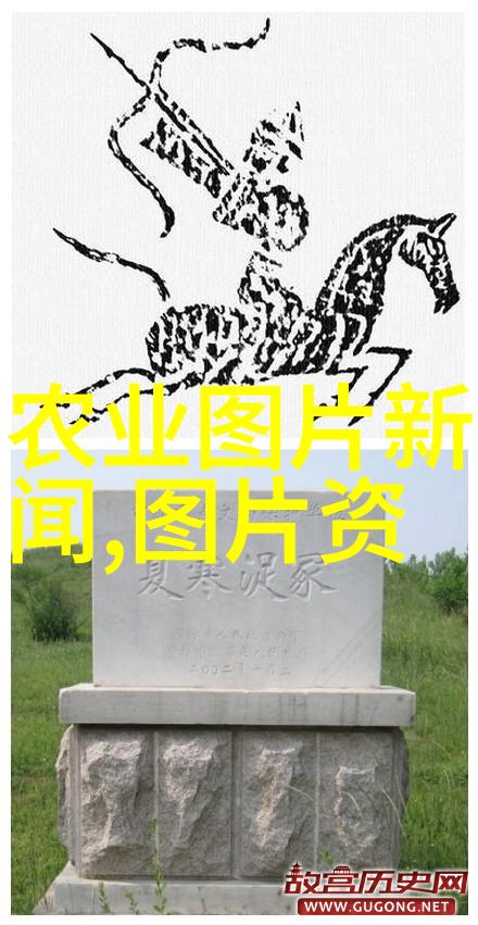 药材市场分析-炒作与价值揭秘哪些药材成为高收益投资的宠儿
