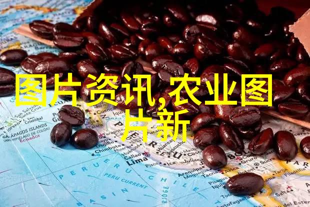 蜜蜂不飞秘密花园里的甜蜜艺术