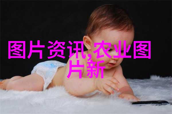 对于新手农民来说在这个时间点上最实用的作物有哪些