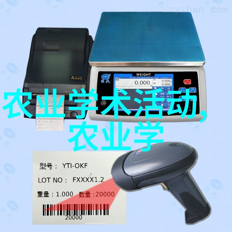 金线莲传说中的幻影