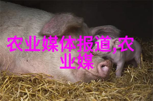 碧霄九重春意妩 - 碧霄九重春日游记