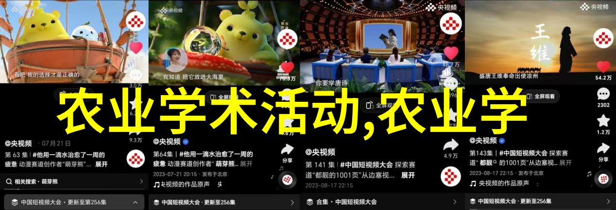 城市交通的新贵升降机系统革新未来
