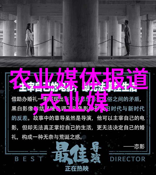 殷商时期的玄鸟文化与其在中国古代社会中的象征意义
