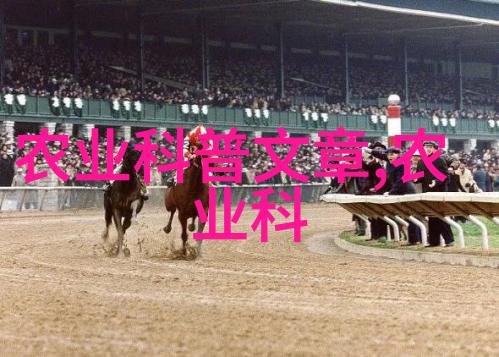 大棚种菜技术大全从规划到收获的全程指南