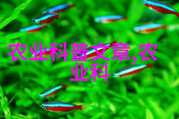 农机市场期刊我是怎么在农机市场上赚钱的