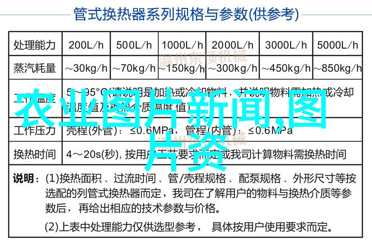 在日常生活中如何将趣味性和实用性结合起来创意用途分享篇