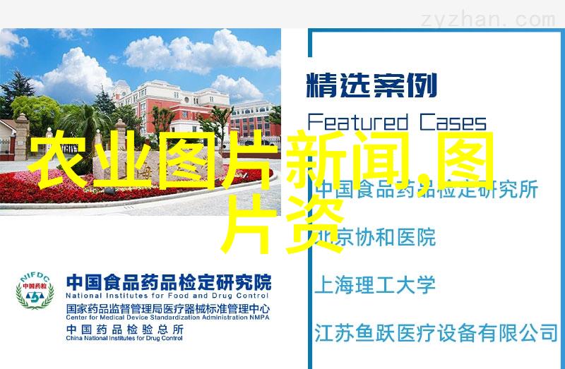 宝宝好会夹啊拉丝了视频免费看我家小孩的烘焙奇迹从零到英雄的甜点征程