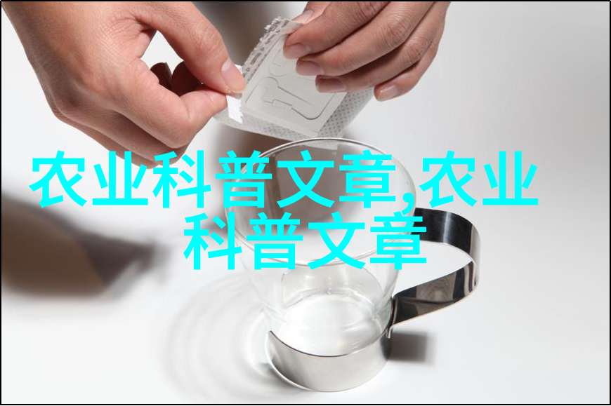 红茶采摘