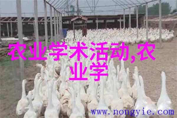 高效养殖肉牛技术革新与现代化管理体系
