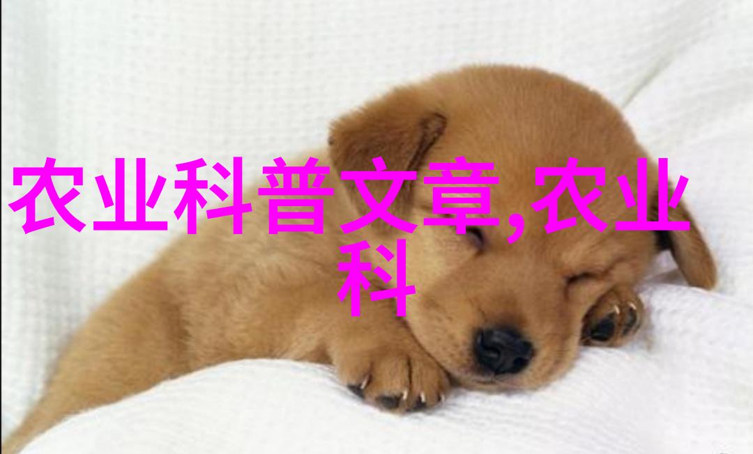 花卉种子播种方法我来教你如何轻松搞定家里那些小绿茵的培育