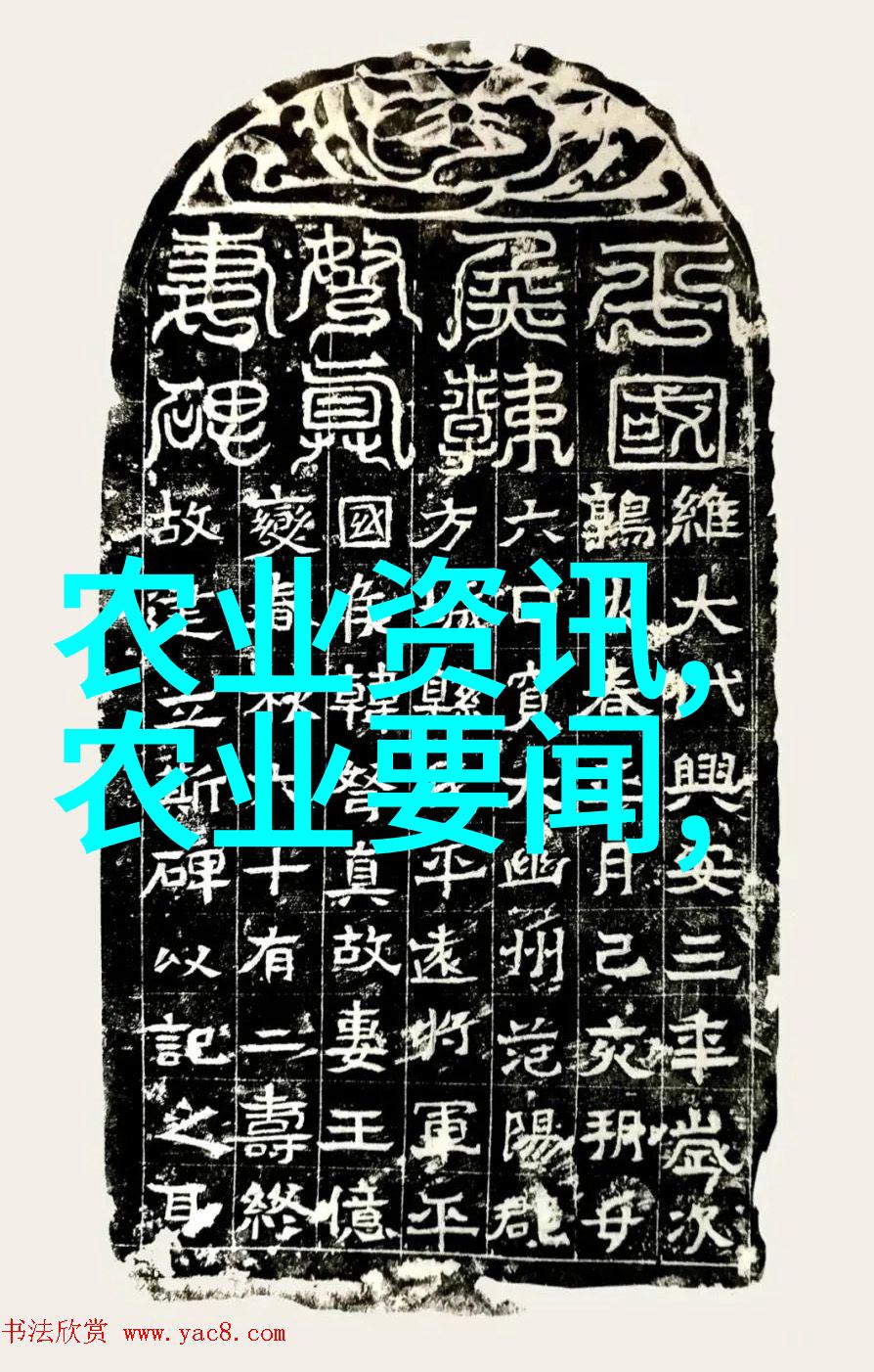 2023年养羊政策解读补贴资金如何分配