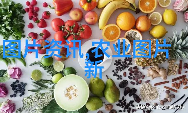 军事训练对一名将要升任少校的人来说又是怎样的体验呢