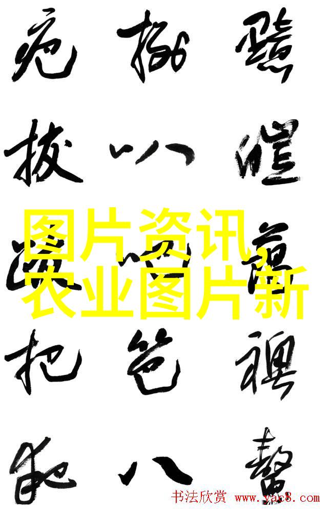蜜蜂养殖指南从选购至管理的全程实用手册