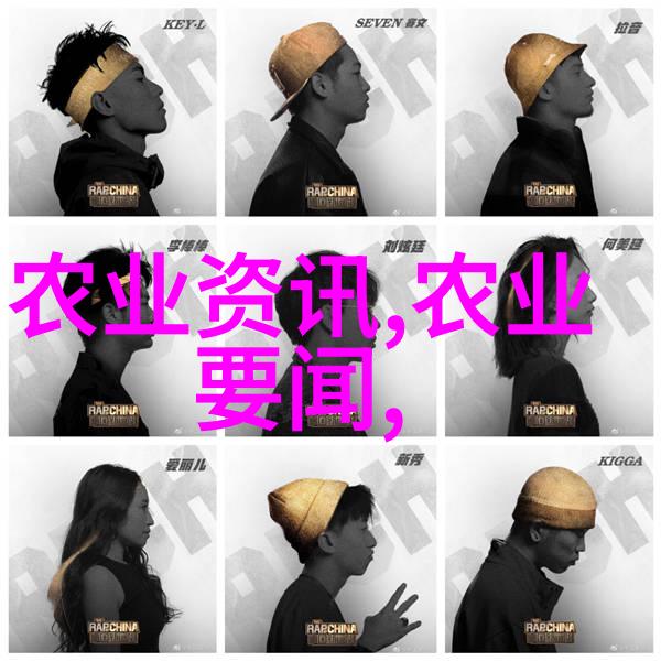 无土栽培蔬菜前景如何 - 绿色革命无土栽培技术的未来发展与应用潜力