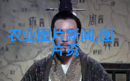 现代农业蔬菜种植技术高效节水无公害的现代农业蔬菜种植方法