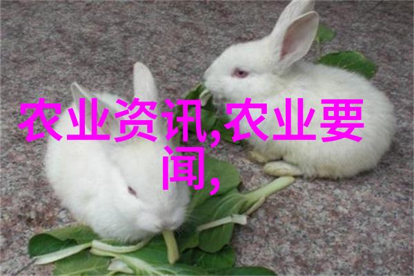 茶文化内涵与茶道精神-品茗抒怀探索中国传统茶文化的深远内涵与茶道精神