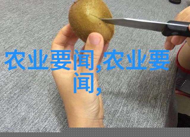 探索养殖业巨额投资50万元贷款条件解析