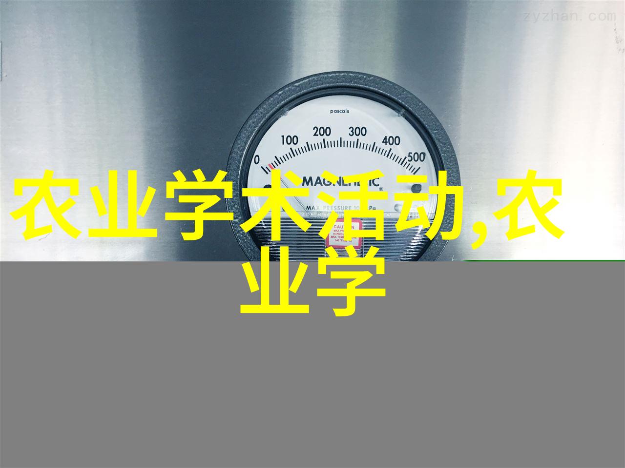 茶树的介绍品味香醇探索绿茵